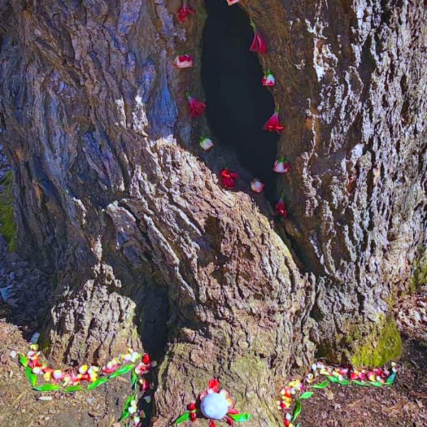 May King and&nbsp;Queen