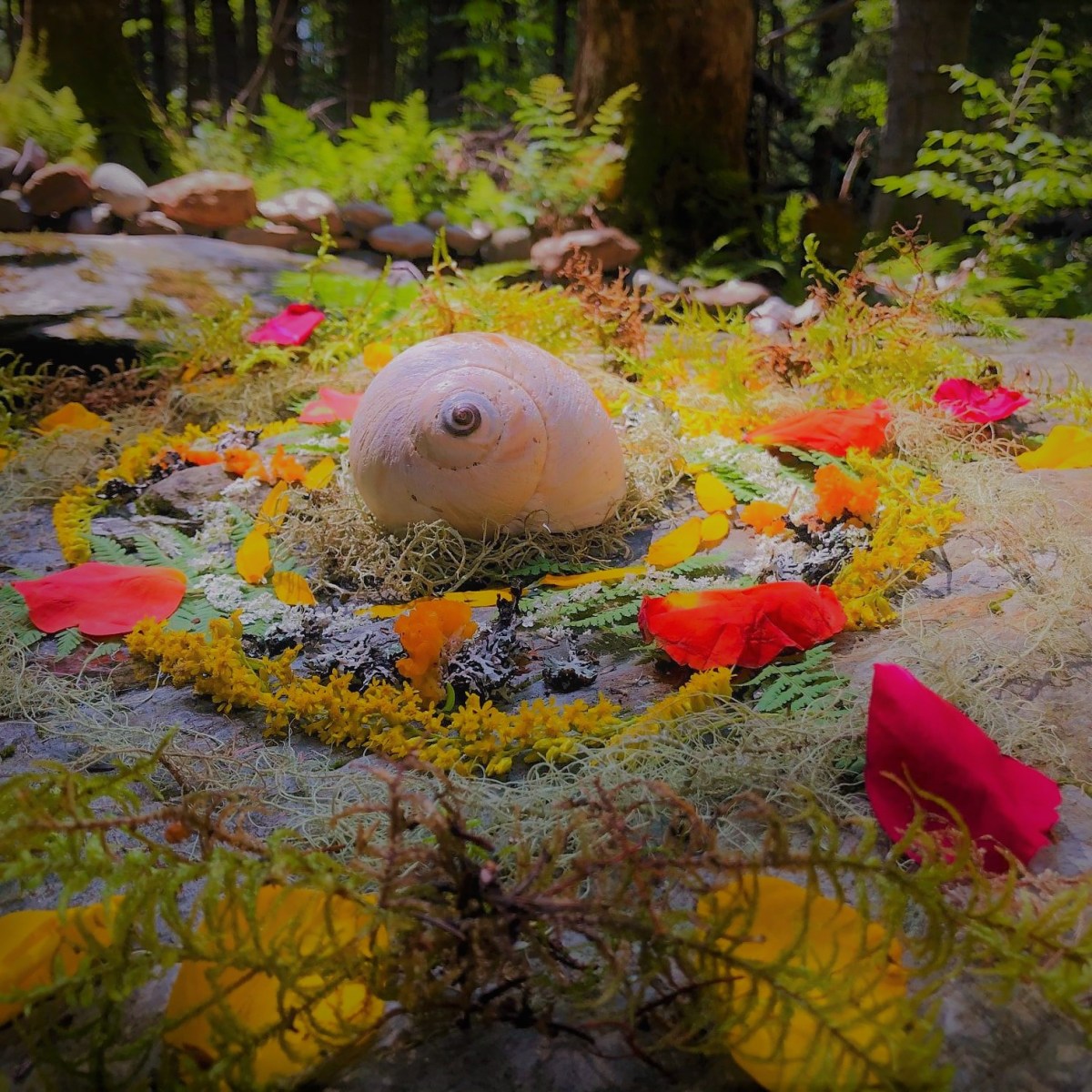 Shell Mandala at the Faerie&nbsp;Well
