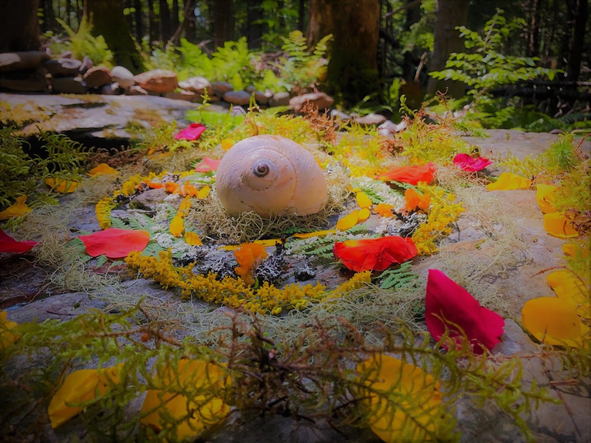 Shell Mandala at the Faerie&nbsp;Well